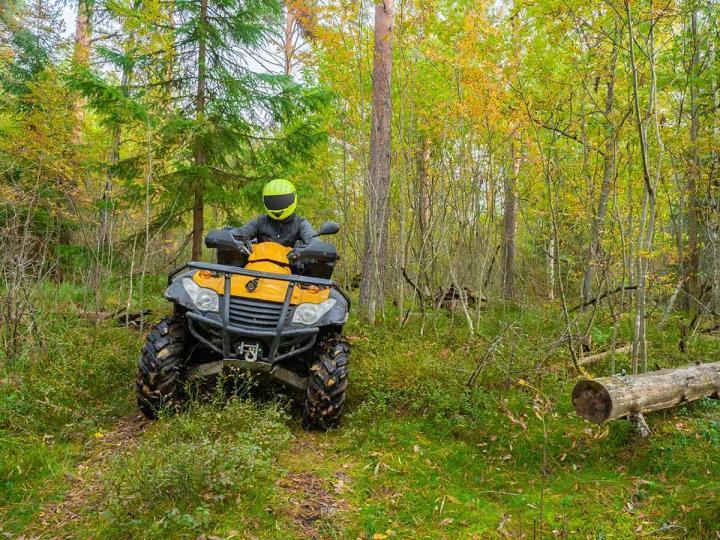 Vente de tracteur, tondeuse et souffleuse Lambton